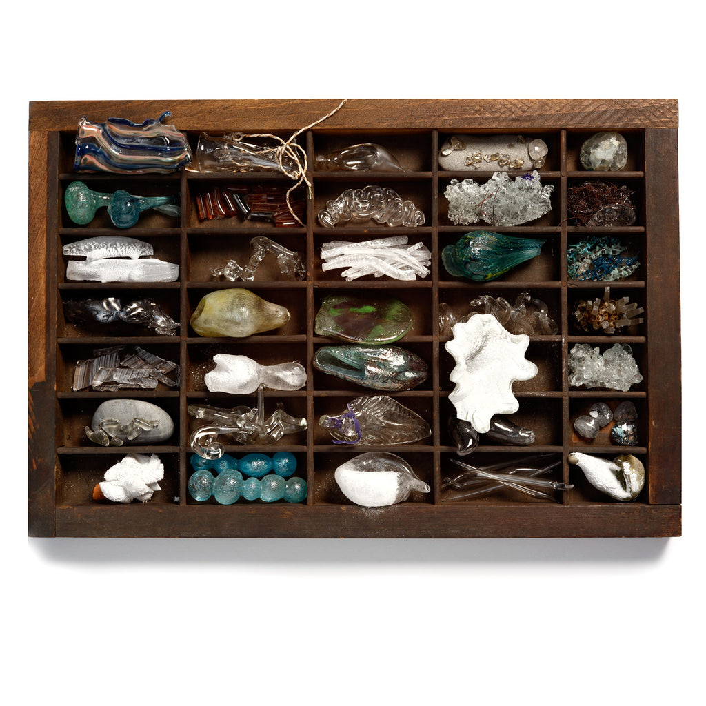 Curiosity Box - LBK Studio