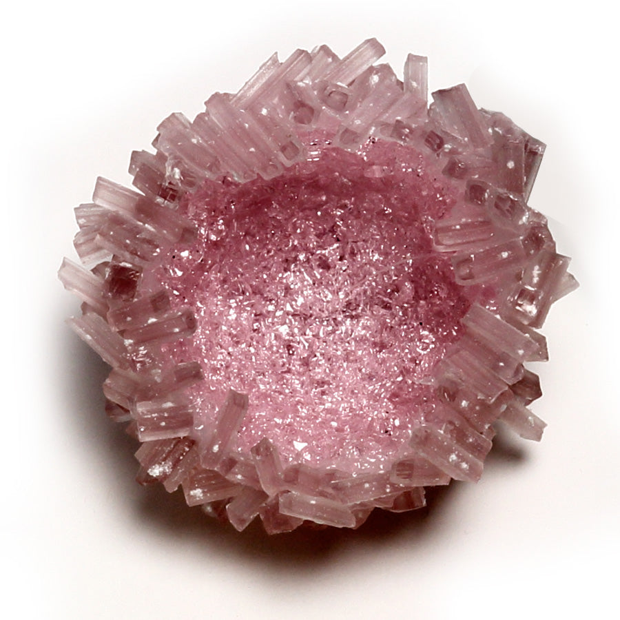 Glass Cane Sea Urchin Bowls - LBK Studio