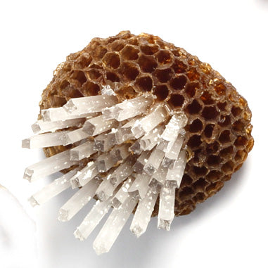 Paper Wasp Combs - LBK Studio